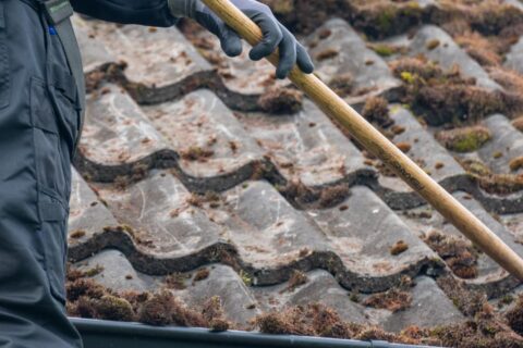 Oxfordshire Roof Moss Removal Experts