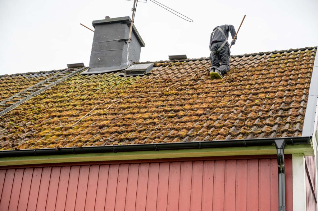 Roof moss removal Roof moss removal services Oxfordshire
